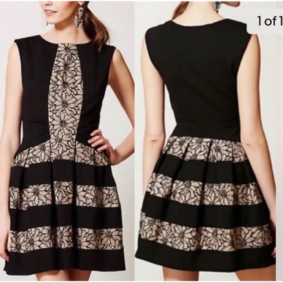 Eva Franco Black Lace Strata Cocktail Dress by Anthropologie - Picture 2 of 7